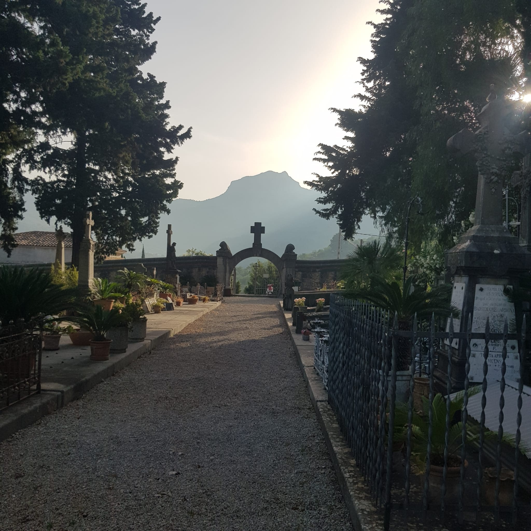 Sóller Cemetery