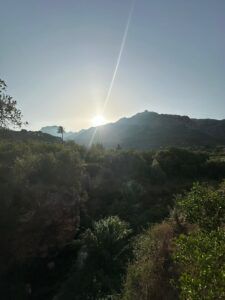 Morning sunshine over Hidden Sóller, Citrus Route panoramic view, Mallorca hidden gem