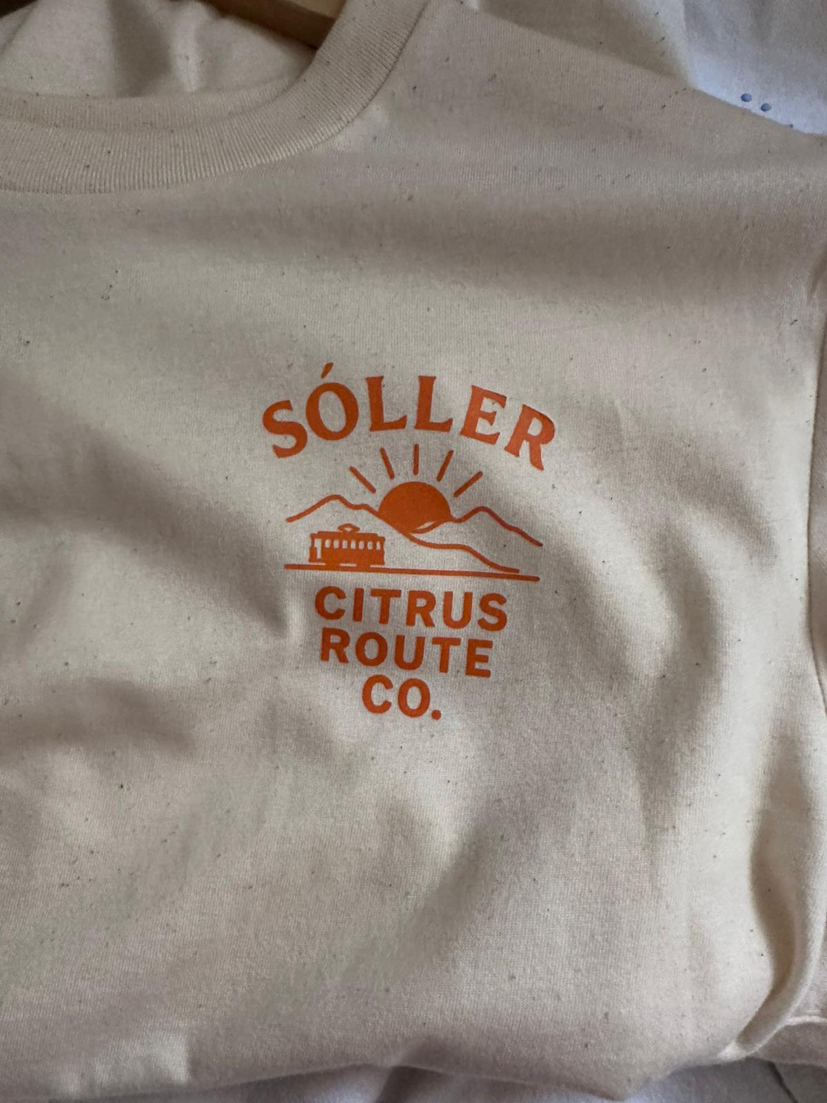 Terracotta T-shirt in warm hues