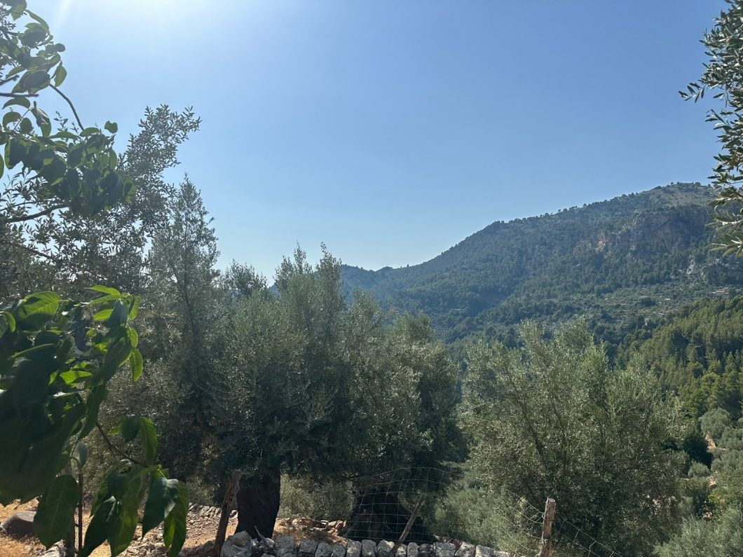 Eclipse in Sóller