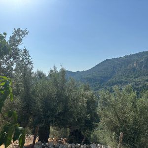 Eclipse in Sóller