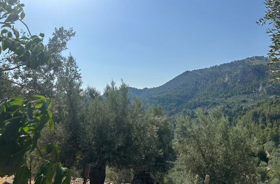 Eclipse in Sóller